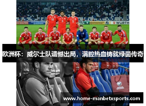 欧洲杯：威尔士队遗憾出局，满腔热血铸就绿茵传奇